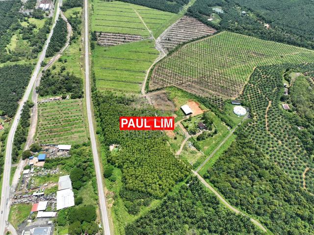 LAND SALE At BEDONG NEAR SEKOLAH SUNGAI TOK PAWANG 98.95 ACRE 1