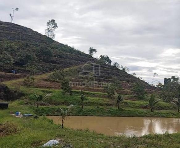12 Ekar Tanah Dusun Durian Kg Jambu Rias Bentong Pahang 1