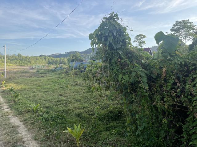 tanah langkawi untuk dijual harga bawah pasaran 1