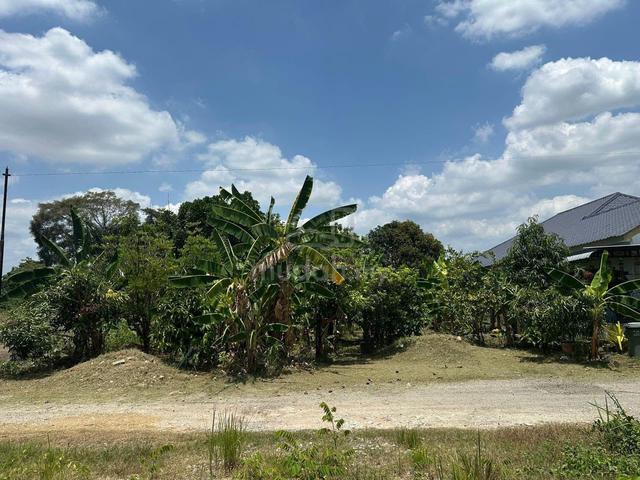 Bungalow Lot For Sale Malay Reserved Seksyen 30 1