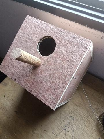 Carousel Image Selected