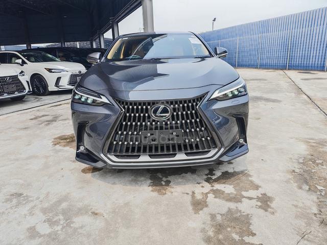 2025 Lexus NX250 2.5L VERSION L, Brown LS - 2