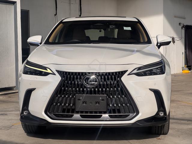 2023 Lexus NX250 2.5 LUXURY (A) - 2