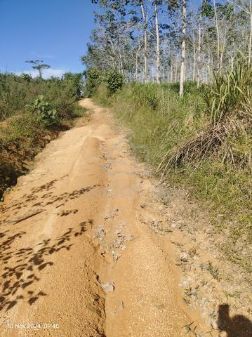 Tanah Kebun Murah Sik  4