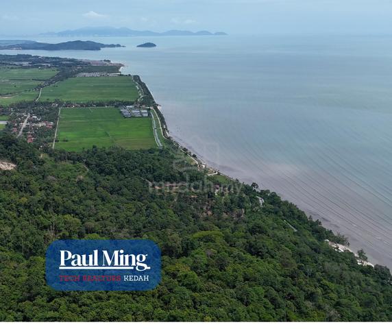 Agriculture Land -Singkir, Kedah 1