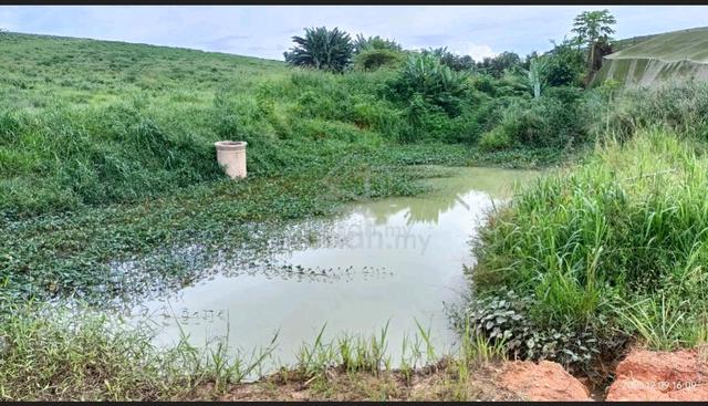 Senai Seelong Land For Sale 4