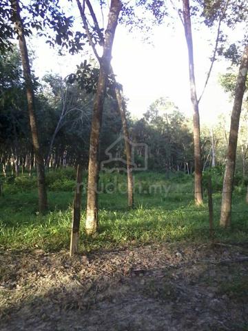 Agricultural Land at Pekan Dangi, Kuala Pilah 4
