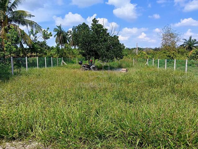 Tanah Guar Perahu SPT 1