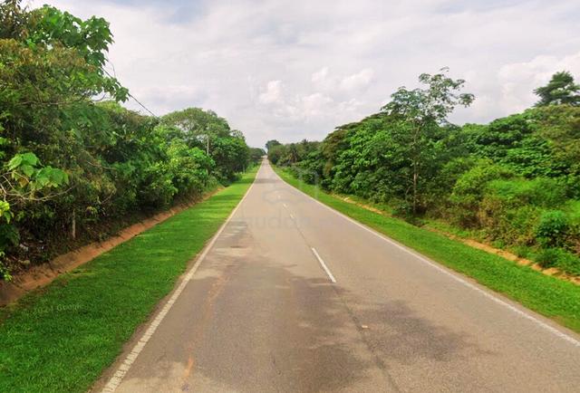 Tanah Pertanian Sawit Kampung Tangkong Buloh Kasap Segamat Johor 4