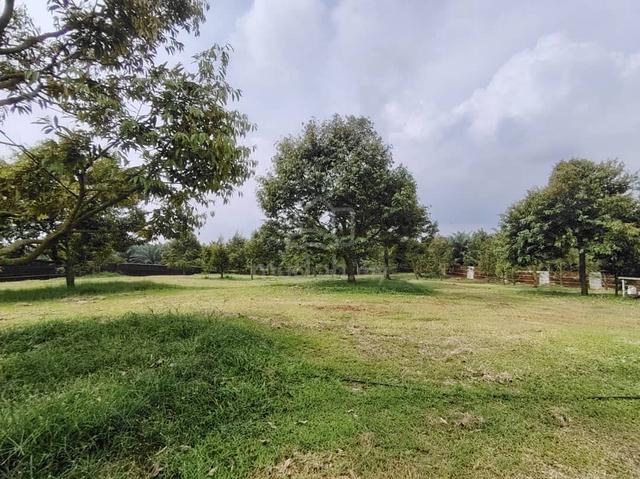 [FREEHOLD] Jasin Merlimau Melaka Agriculture Land With Durian Farm 5