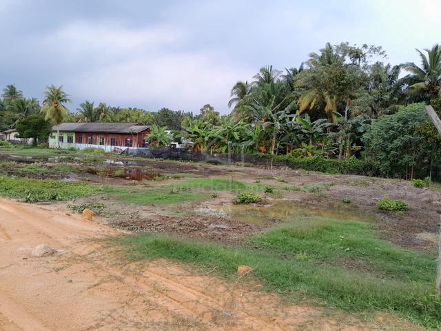 (Tanah Rata & Kosong) AGRICULTURE LAND for rent di Bukit Pasir, Muar 1