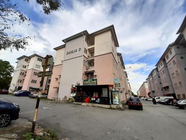 Dahlia (Seremban) 1
