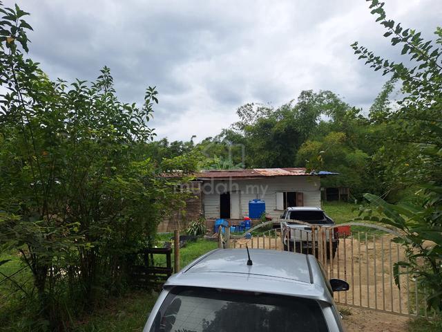 Land 0.445ha (1.10 Acres) Near Pekan Telipok 1