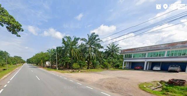 9.81 Acres 2 Adjoining Agriculture Land @ Benut, Pontian, Johor 1