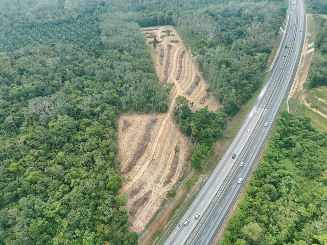 Kuala Kangsar / Agricultural Land For Sale / 4.19 Acres / FREEHOLD 1