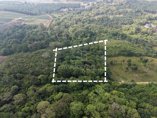 Tanah 1.9 Ekar Untuk Dijual Bukit Goh, Kuantan Pahang 1