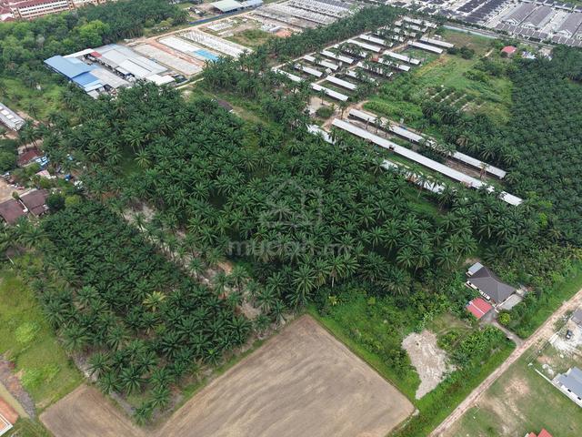 BERTAM KEPALA BATAS SPU MUKIM 6 FIRST GRADE LAND Nr BERTAM TECHNOLOGY 1