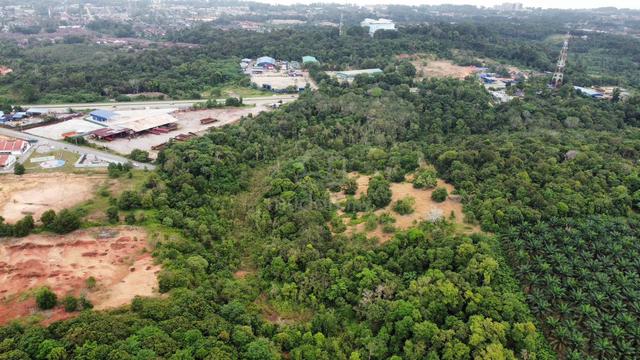 Agricultural Land Second Lot from Main Road to Gebeng industrial area. 2