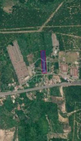 Tanah untuk di majukan 1