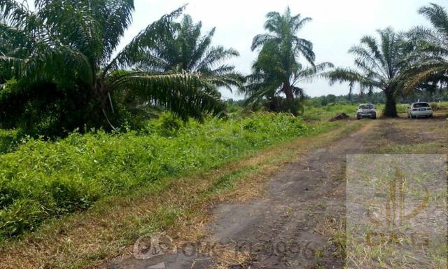 Kuala Selangor Bestari jaya 3 ekar agriculture land leasehold 1