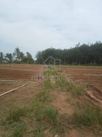 Tanah Pertanian Untuk Disewa 1