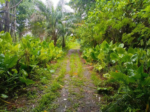 Lot Banglo for Sale Kg Sri Aman Hilir, Puchong 1