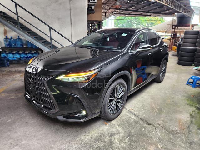 2023 Lexus NX250 Luxury Full Spec 5A Red Leather - 1