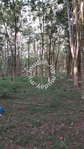 5.1 acres rubber estate at Sungai Durian, Tg. Tualang ,Perak 1