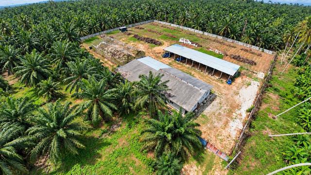 1.92 Acre Freehold Land   House Api-Api Kuala Selangor  1