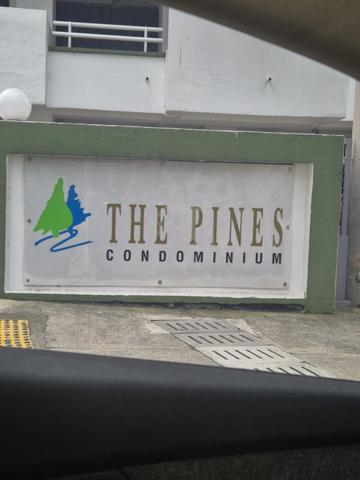 The Pines 1