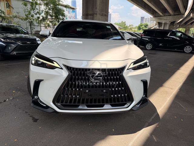 2023 Lexus NX 250 2.5 LUXURY Camera P/Shift BSM PB - 1
