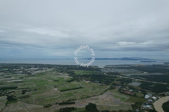 Sungai Bakap Residential Land 1