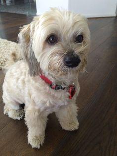 Carousel Image Selected