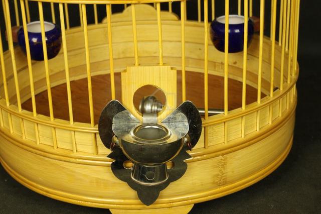 Carousel Image