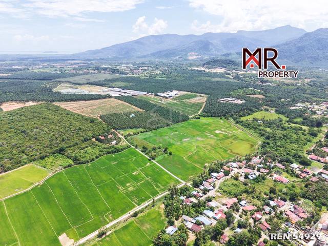 NEAR TOWN AREA @ Paddy Field Semeling Kedah FOR SALE 1