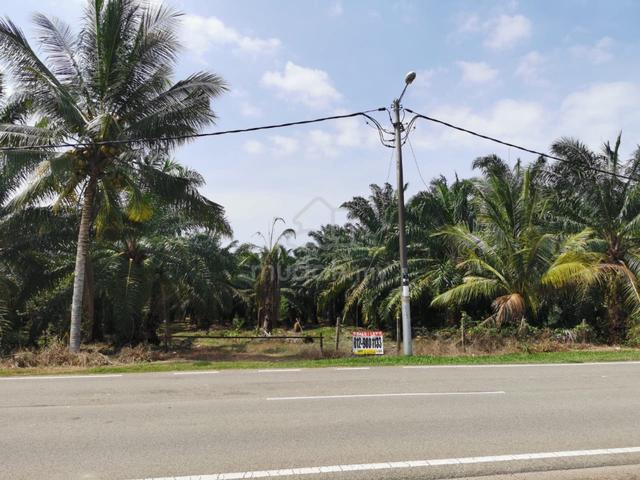 Freehold land (Agriculture) for Sale in Merlimau Pasir, Melaka 1