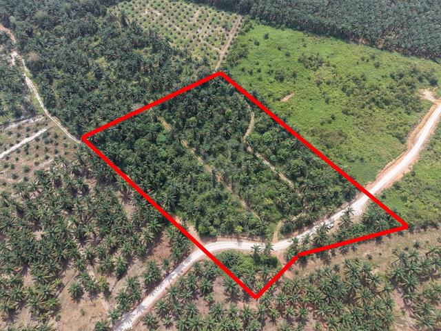 Agri Land Yong Peng For Sale 1