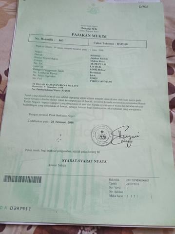Tanah cantik di kg Alor pulai mukim rusa 1