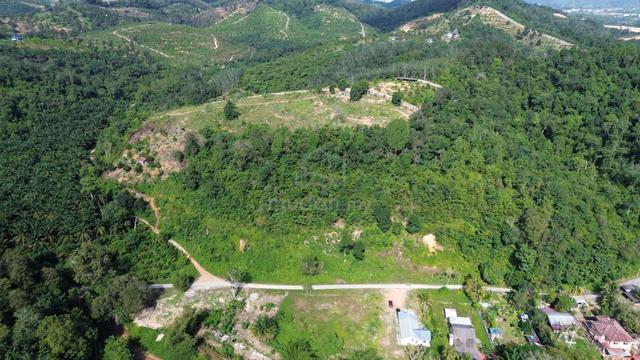 Tanah dusun untuk dijual di Kulim Kedah 1