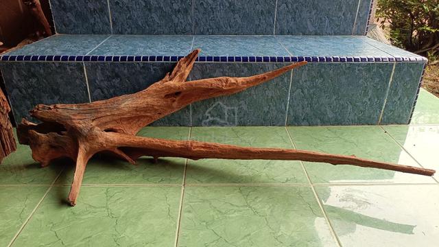 kayu hiasan aquarium tank Discus cun - photo 2 of 4