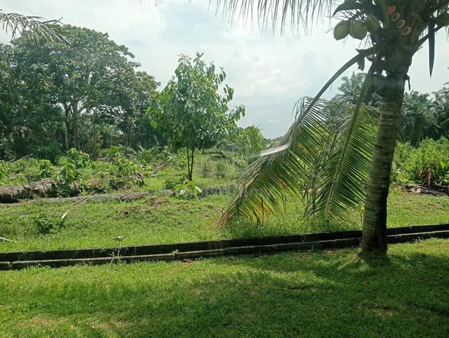 Investment Opportunity Land in Kampung Seri Paya Sale Kulai Johor 1