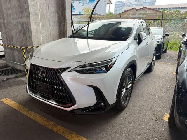 2023 Lexus NX250 2.5 LUXURY P/Roof HUD 360 BSM P/S - 2