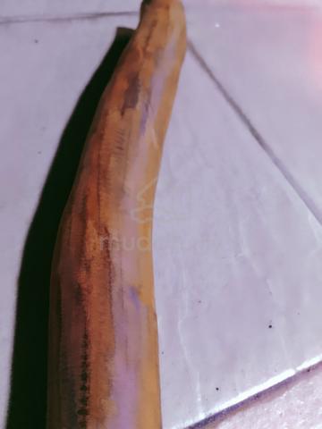 Carousel Image