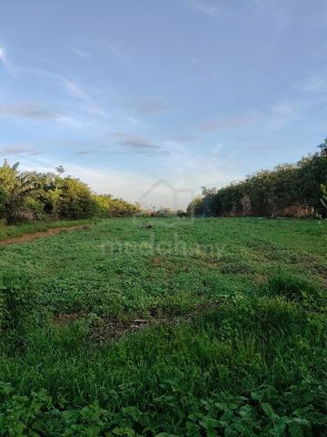lot kosong amat sesuai untuk buat kilang atau berkebun 1