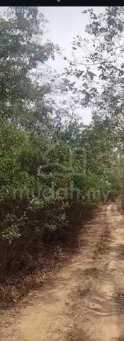 Tanah kebun untuk dijual di Rembau, Negeri Sembilan 1