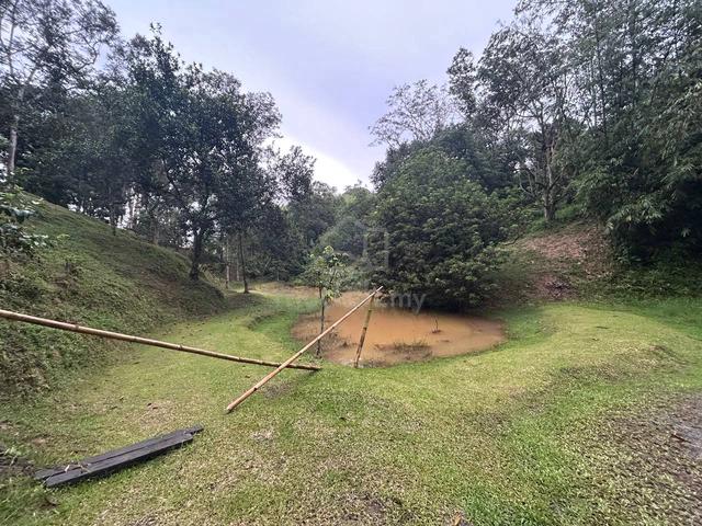 Land For Sale! Hulu Tamu, Batang Kali 1