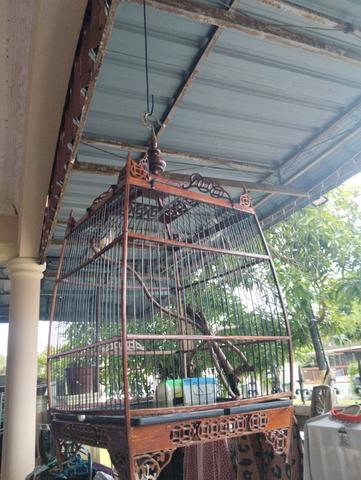 Carousel Image