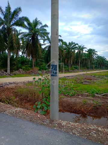 Tanah lot banglo di Lorong Cikgu Saodah, Pt Jelutong, Pt Raja 1