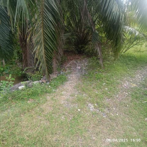 Tanah Pertanian 2.11 Ekar Kg Tambak Jawa Jeram berdekatan Pantai Remis 5