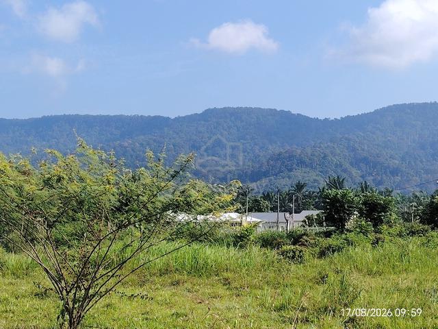 mlay rezef tanah rata 1